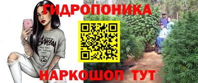 не бодяженный Гусь-Хрустальный