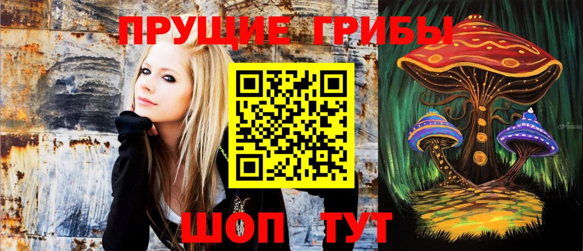 Нововоронеж  Псилоцибиновые грибы MAGIC MUSHROOMS  где найти наркотики  Вход с VPN 